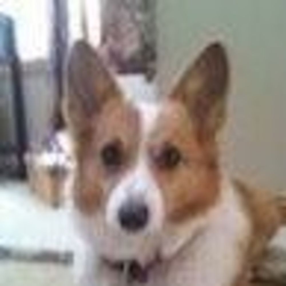 Meet your Posher, Sheri